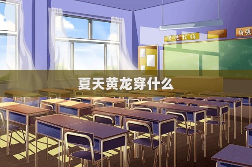 夏天黃龍穿什么