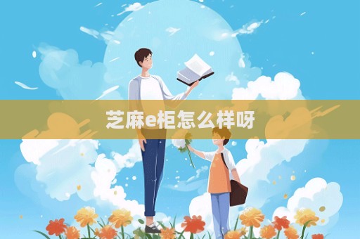 芝麻e柜怎么樣呀