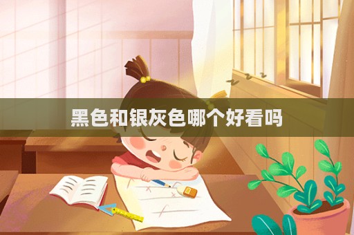 黑色和銀灰色哪個好看嗎