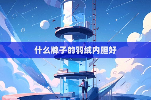 什么牌子的羽絨內膽好