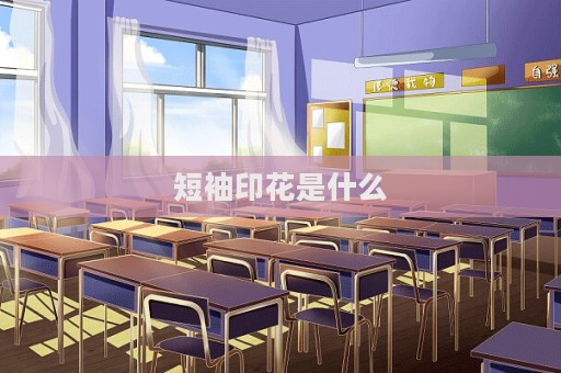 短袖印花是什么  第1張