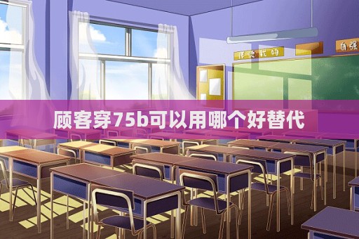 顧客穿75b可以用哪個好替代