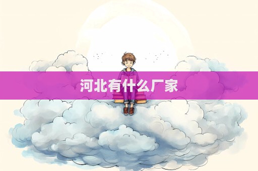 河北有什么廠家