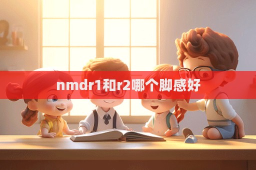 nmdr1和r2哪個腳感好