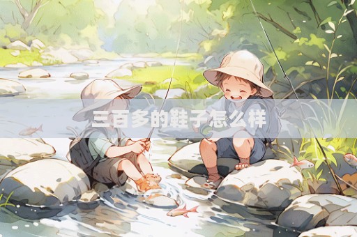 三百多的鞋子怎么樣
