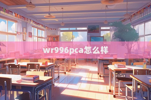 wr996pca怎么樣