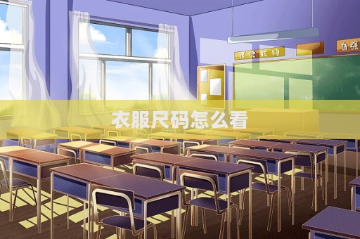 衣服尺碼怎么看