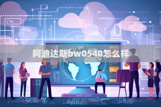 阿迪達(dá)斯bw0540怎么樣