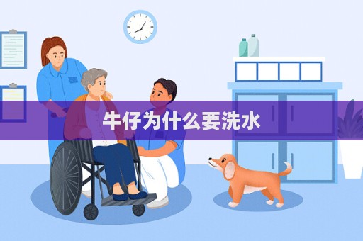 牛仔為什么要洗水