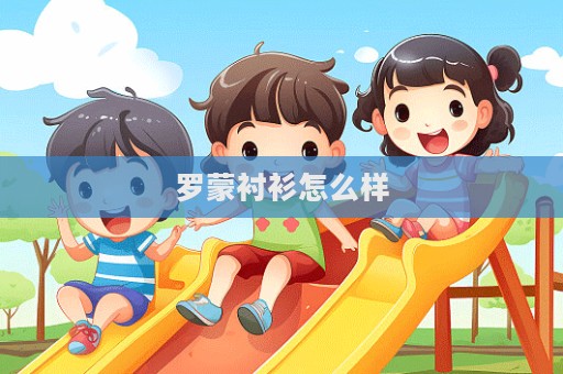 羅蒙襯衫怎么樣  第1張