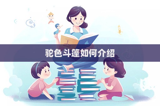駝色斗篷如何介紹