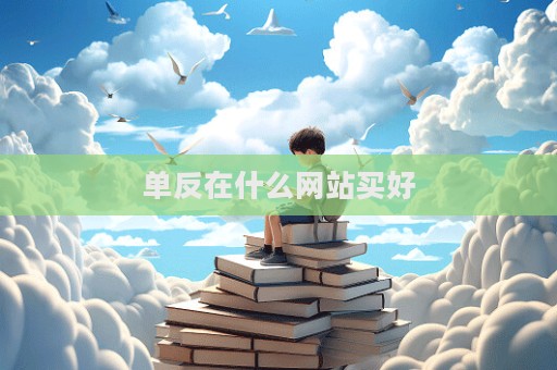 單反在什么網站買好