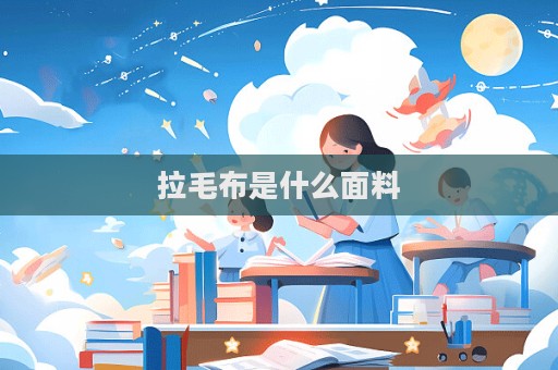 拉毛布是什么面料
