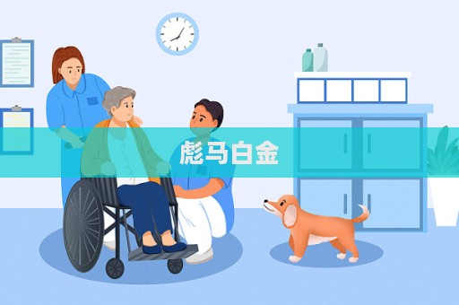 彪馬白金
