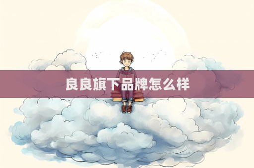 良良旗下品牌怎么樣
