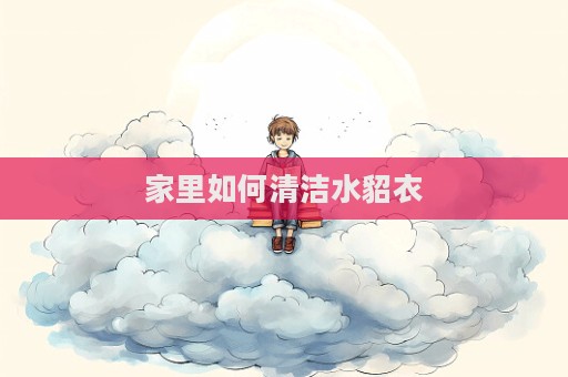 家里如何清潔水貂衣