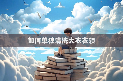 如何單獨(dú)清洗大衣衣領(lǐng)