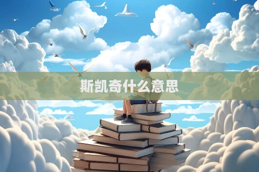 斯凱奇什么意思