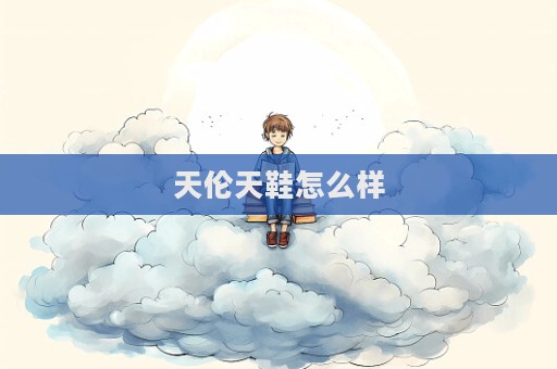 天倫天鞋怎么樣