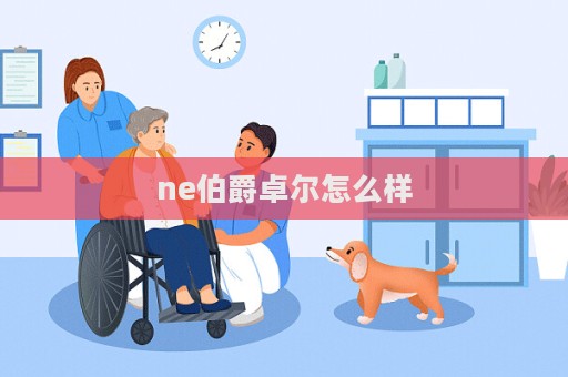 ne伯爵卓爾怎么樣  第1張