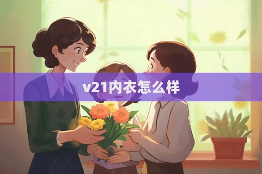 v21內衣怎么樣  第1張