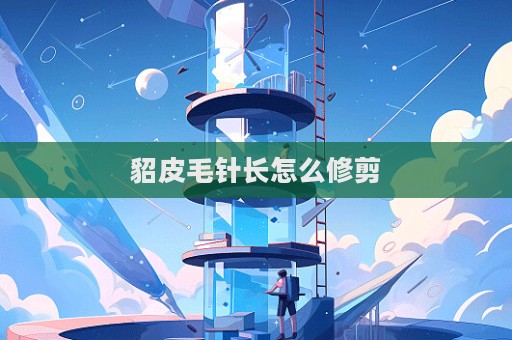 貂皮毛針長怎么修剪