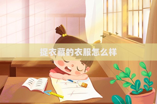 捉衣藏的衣服怎么樣