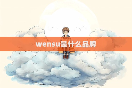 wensu是什么品牌