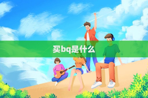 買bq是什么