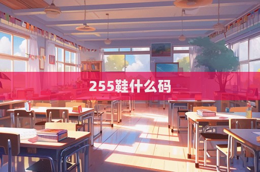 255鞋什么碼