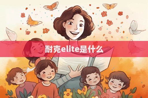 耐克elite是什么