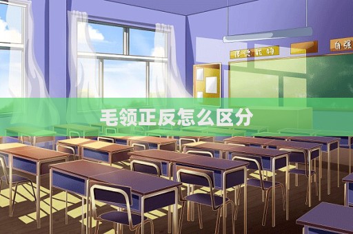 毛領正反怎么區分