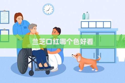 蘭芝口紅哪個色好看