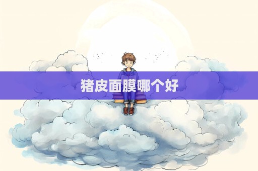豬皮面膜哪個(gè)好