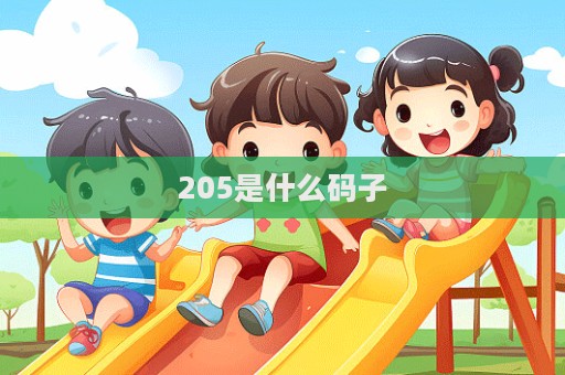 205是什么碼子
