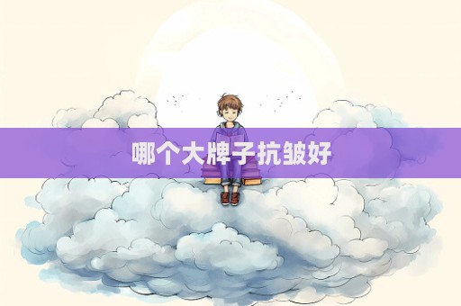 哪個大牌子抗皺好