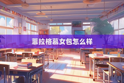 菲拉格慕女包怎么樣  第1張