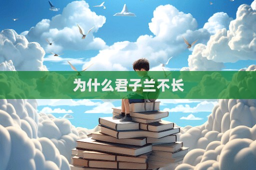 為什么君子蘭不長  第1張