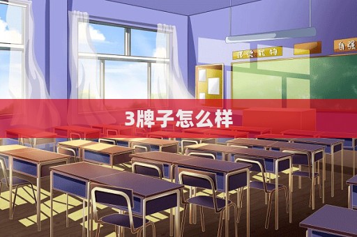 3牌子怎么樣