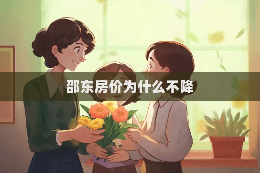邵東房價(jià)為什么不降  第1張