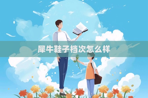 犀牛鞋子檔次怎么樣  第1張