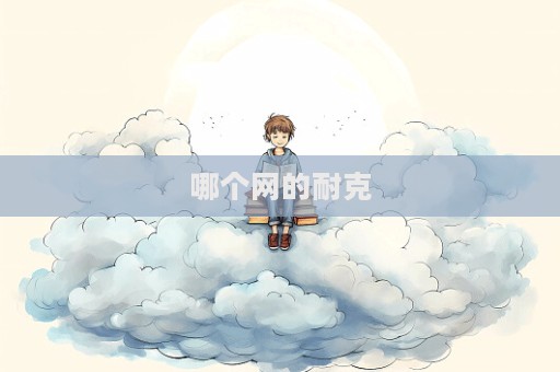 哪個網的耐克  第1張