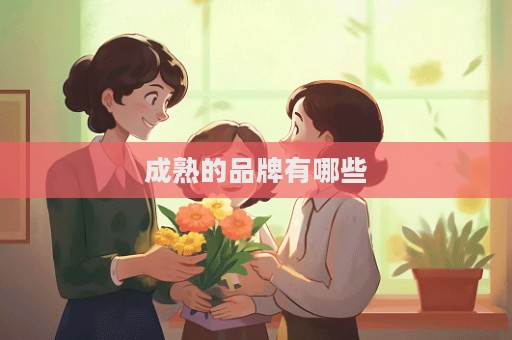 成熟的品牌有哪些