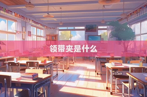 領帶夾是什么  第1張