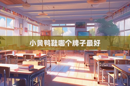 小黃鴨鞋哪個牌子最好  第1張